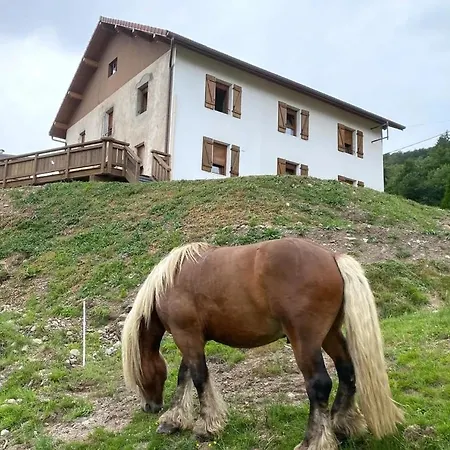 La Cle Des Champs A - Confort Dans Les Hautes Vosges 度假居 *