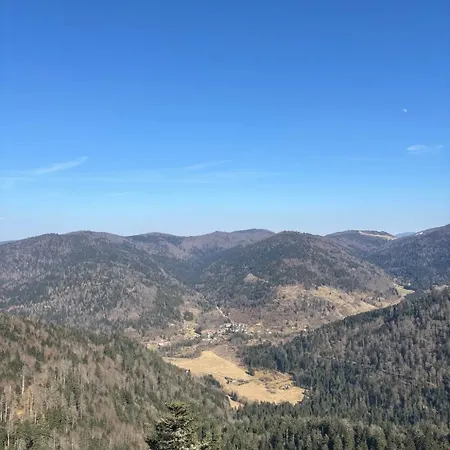 La Cle Des Champs A - Confort Dans Les Hautes Vosges * 比桑