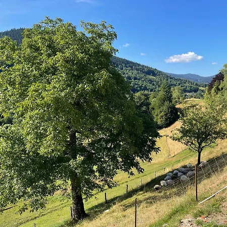 La Cle Des Champs A - Confort Dans Les Hautes Vosges *