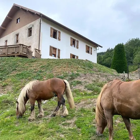 Prázdninový dům La Cle Des Champs 3 Etoiles Vue Panoramique Terrasse Vosges Bussang