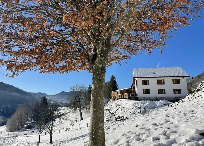 La Cle Des Champs 3 Etoiles Vue Panoramique Terrasse Vosges * Bussang