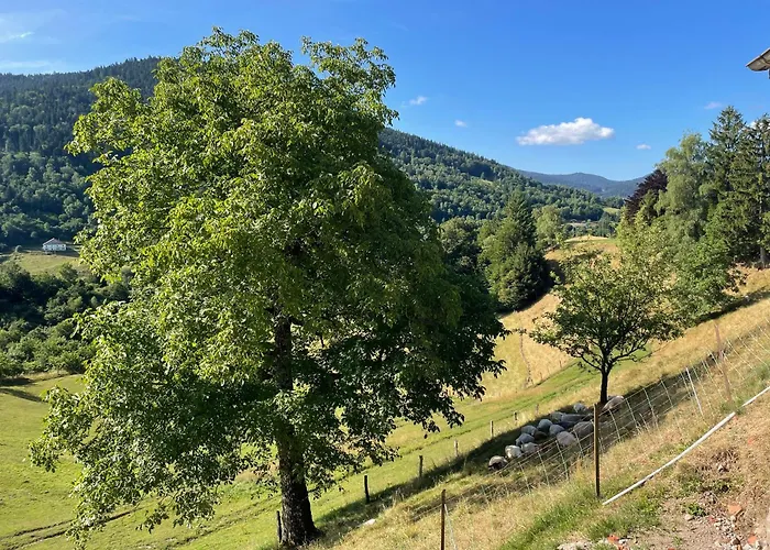 La Cle Des Champs 3 Etoiles Vue Panoramique Terrasse Vosges *