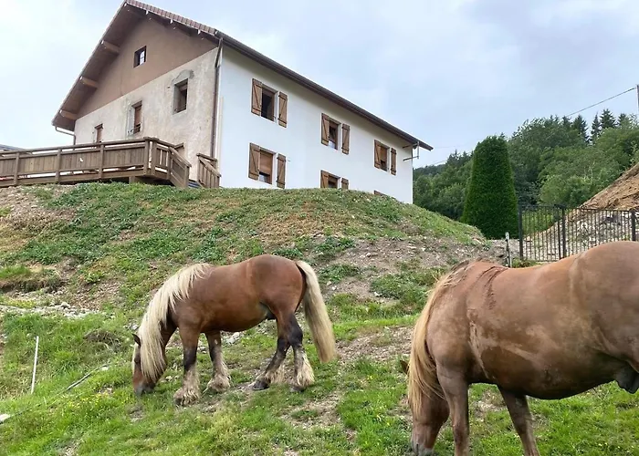 Holiday home La Cle Des Champs A Bussang Gite De Groupe Tout C Bussang