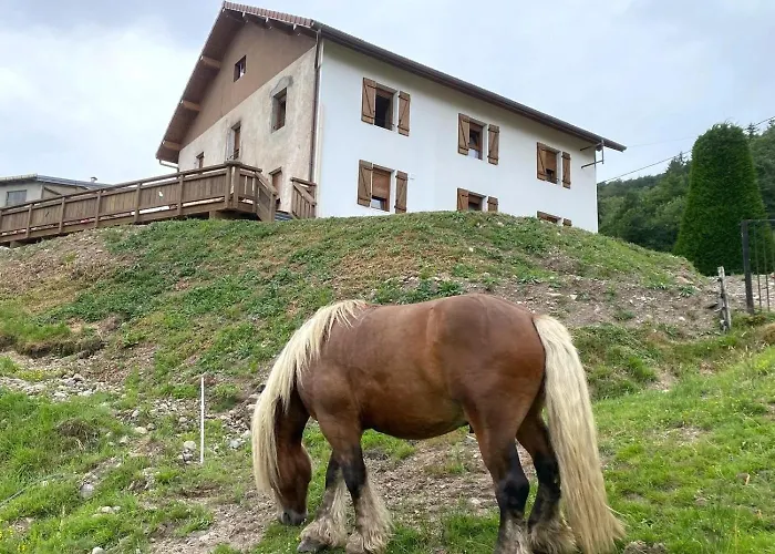 La Cle Des Champs A Bussang Gite De Groupe Tout C Holiday home Bussang